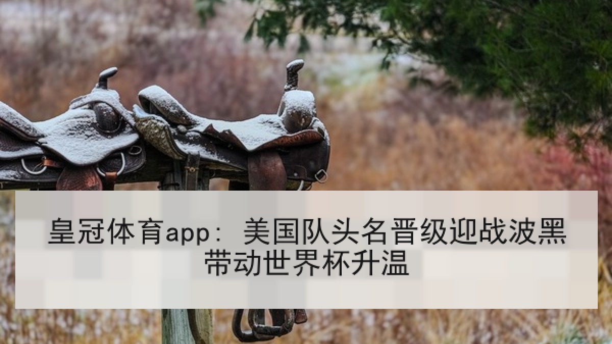皇冠体育app: 美国队头名晋级迎战波黑带动世界杯升温